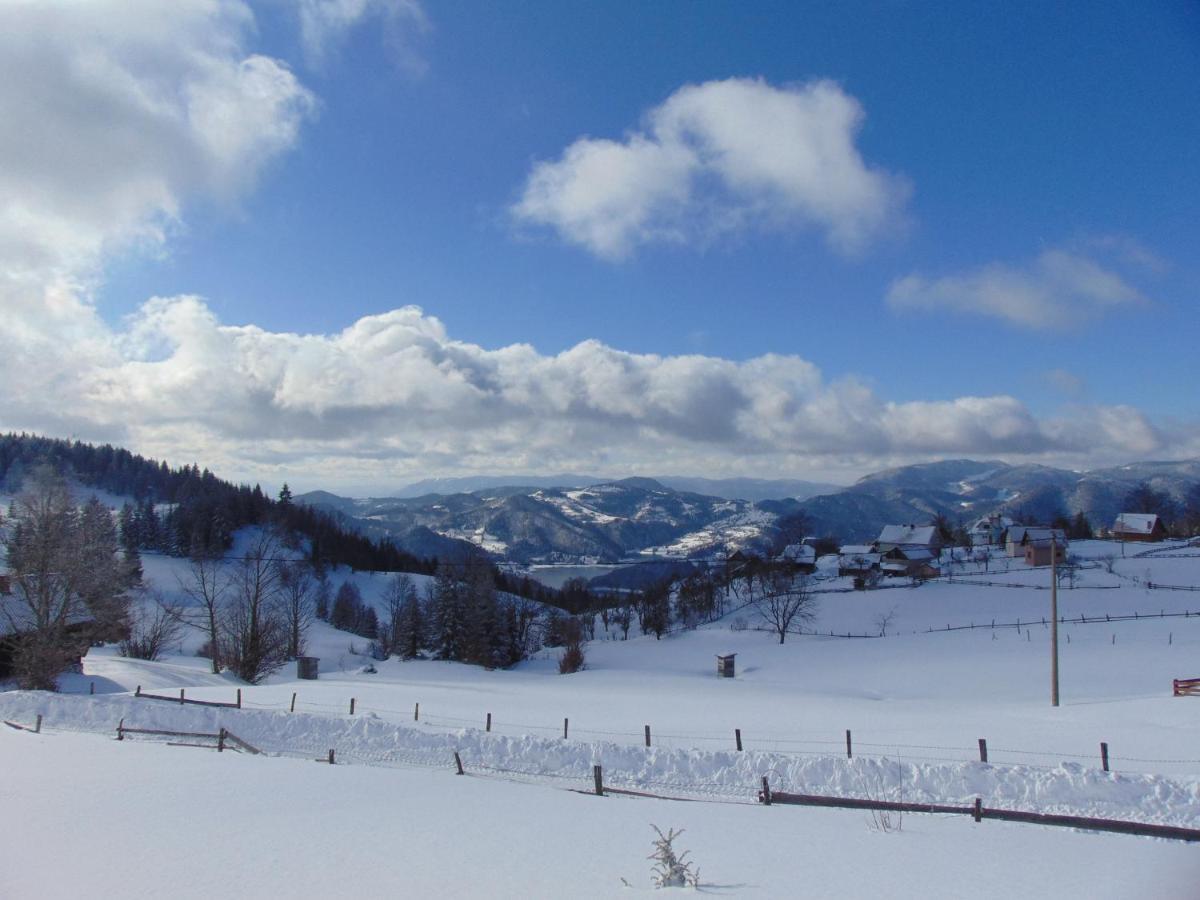 Vikendica Sekulic Bajina Basta Exterior foto